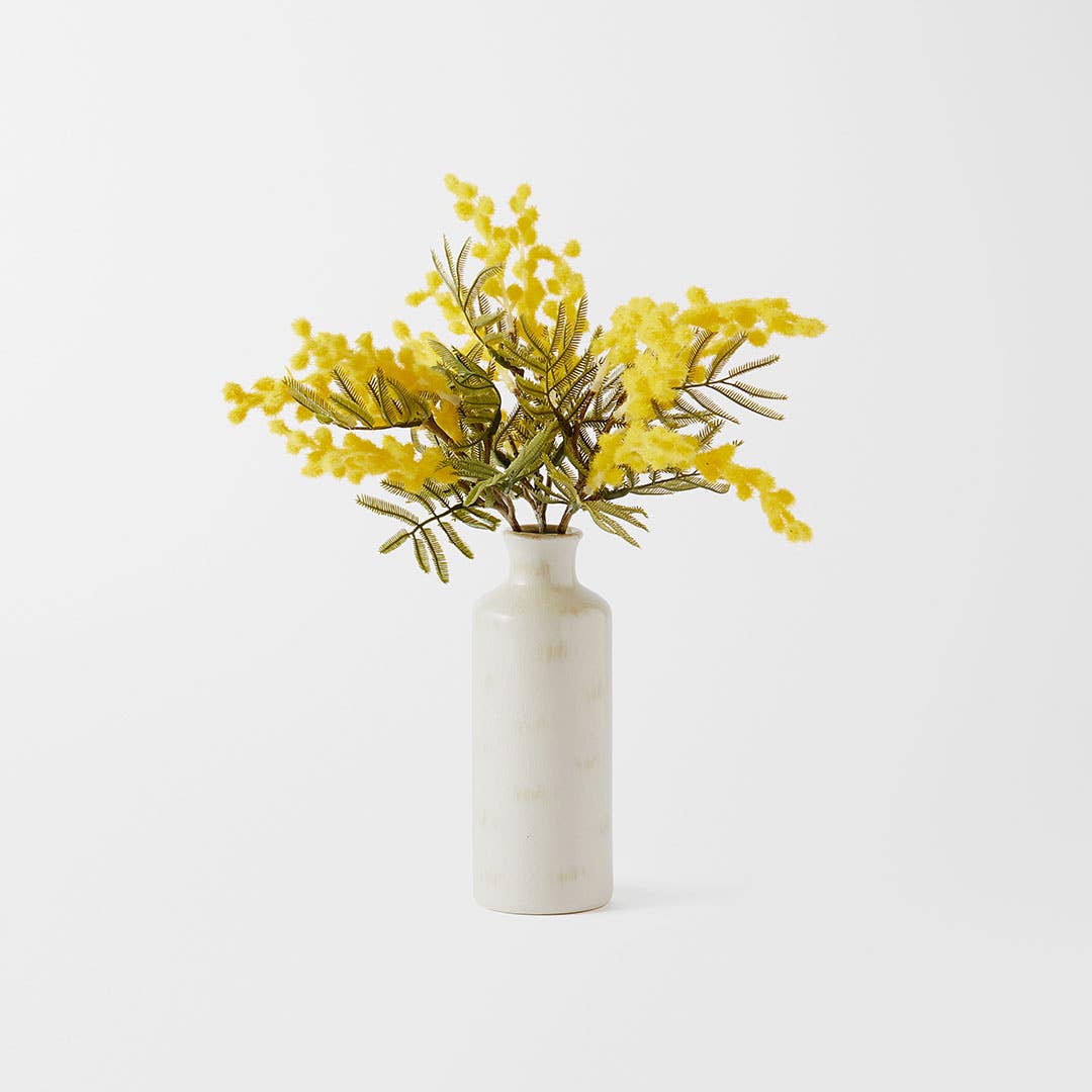 Wattle in Ceramic Vase